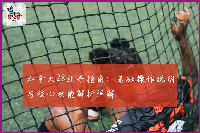 加拿大28新手指南：基础操作说明与核心功能解析详解