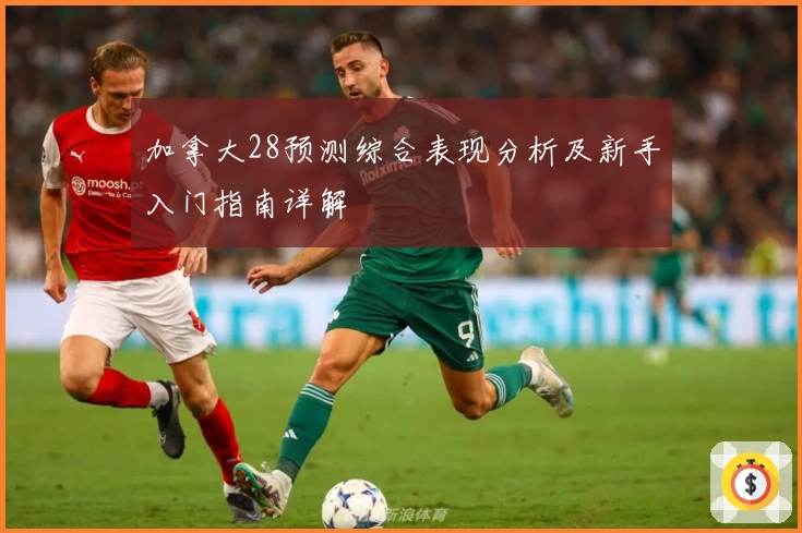 加拿大28预测综合表现分析及新手入门指南详解
