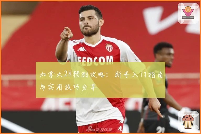 加拿大28预测攻略：新手入门指南与实用技巧分享