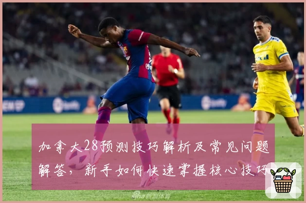 加拿大28预测技巧解析及常见问题解答，新手如何快速掌握核心技巧