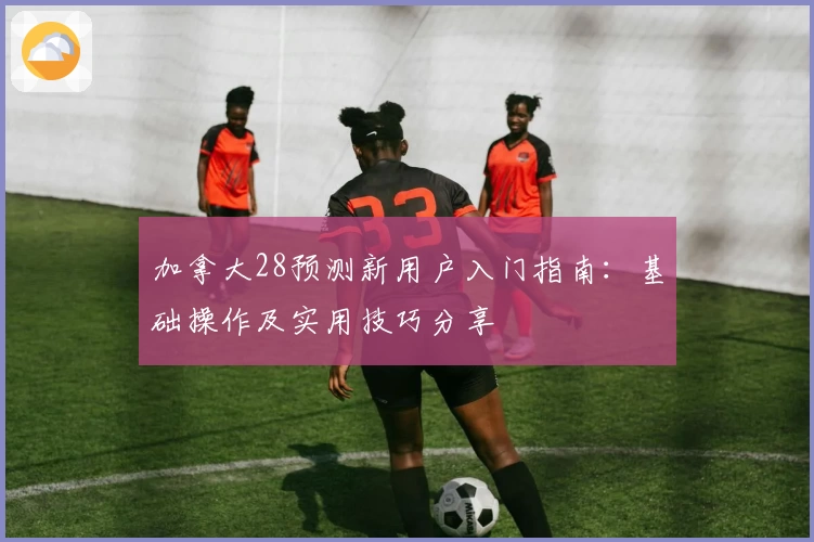 加拿大28预测新用户入门指南：基础操作及实用技巧分享