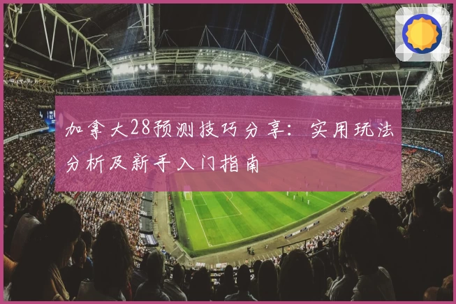 加拿大28预测技巧分享：实用玩法分析及新手入门指南