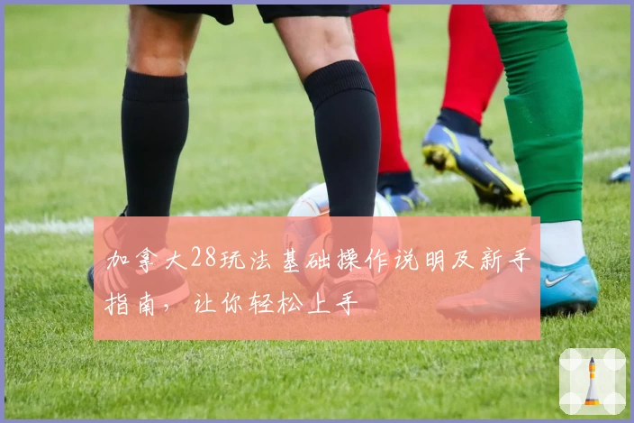 加拿大28玩法基础操作说明及新手指南，让你轻松上手