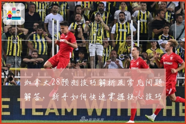 加拿大28预测技巧解析及常见问题解答，新手如何快速掌握核心技巧