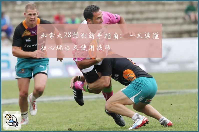 加拿大28预测新手指南：一文读懂核心玩法及使用技巧