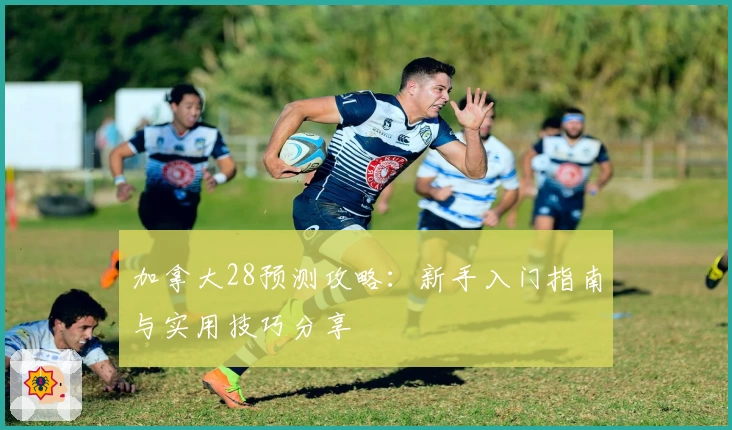 加拿大28预测攻略：新手入门指南与实用技巧分享