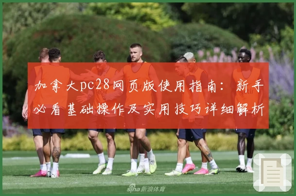 加拿大pc28网页版使用指南：新手必看基础操作及实用技巧详细解析