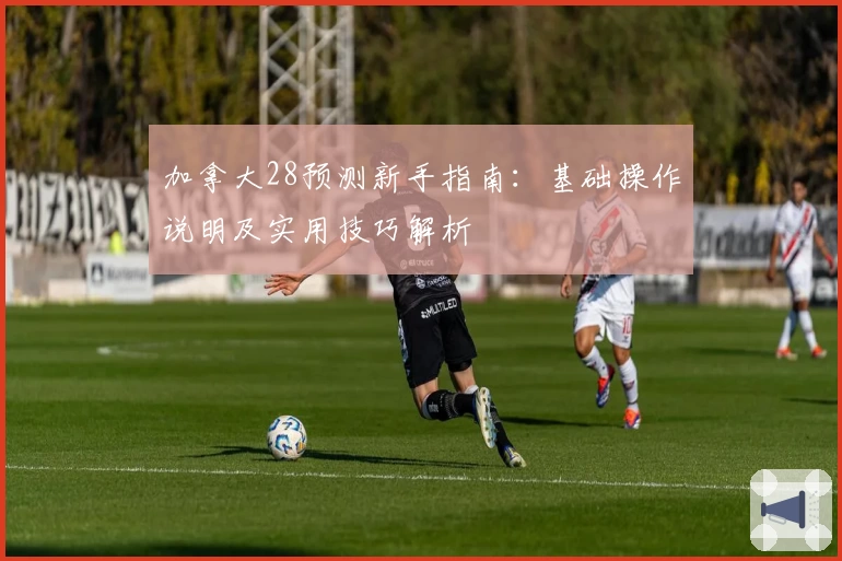 加拿大28预测新手指南：基础操作说明及实用技巧解析