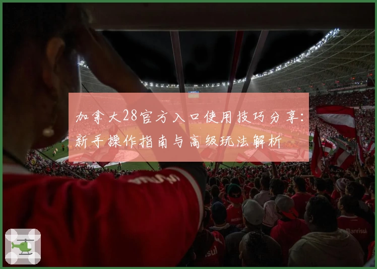 加拿大28官方入口使用技巧分享：新手操作指南与高级玩法解析