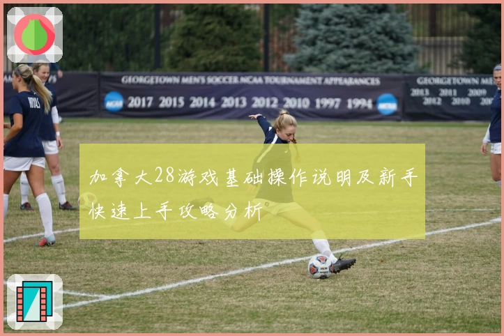 加拿大28游戏基础操作说明及新手快速上手攻略分析