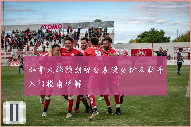 加拿大28预测综合表现分析及新手入门指南详解