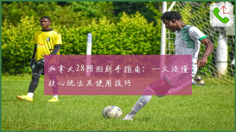 加拿大28预测新手指南:一文读懂核心玩法及使用技巧